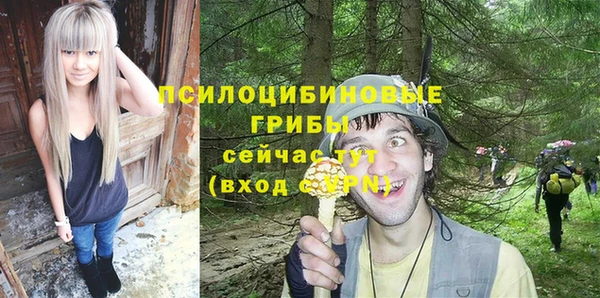 mix Богородск