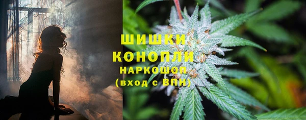 сатива Богородицк