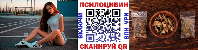 Псилоцибиновые грибы мицелий  Бугульма 