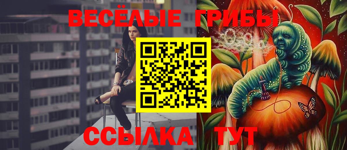 Бугульма  Псилоцибиновые грибы мицелий  Псилоцибиновые грибы Cubensis  Вход с VPN 